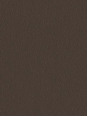 Stoff Rollo Ma&szlig;anfertigung Euro Blackout R 2417