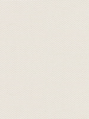 Stoff Rollo Ma&szlig;anfertigung Screen R 5201